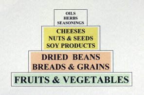 Our Food Pyramid